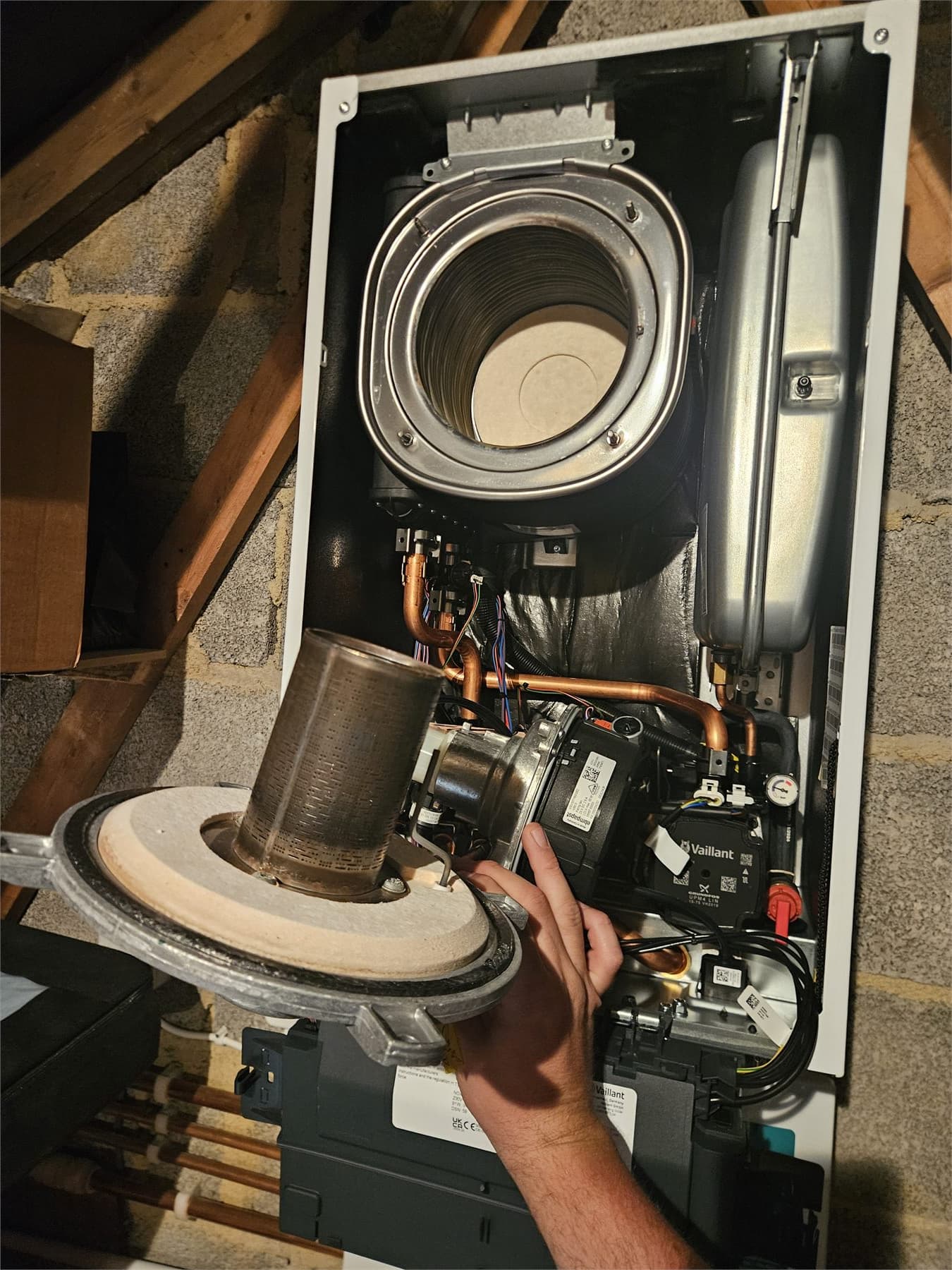 Internal Vaillant boiler service checks and cleaning in Paignton
